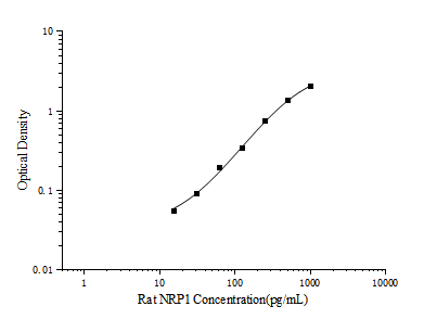 Rat NRP1(Neuropilin 1) ELISA Kit (E-EL-R3041)