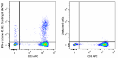 StarBright UltraViolet 740 anti-human IFN-γ Antibody (502561)