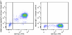 Brilliant Violet 605™ anti-rat CD68 Recombinant Antibody (201007)