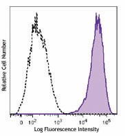 PE/Cyanine7 anti-mouse CD146 Antibody (134713)