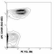 PE anti-mouse GITR Ligand Antibody (120305)