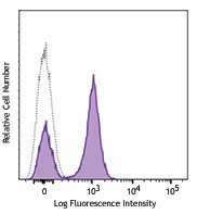 PerCP/Cyanine5.5 anti-mouse CD19 Antibody (152405)