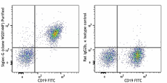 Purified anti-mouse Siglec-G Antibody (168002)
