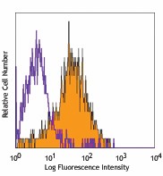 Pacific Blue™ anti-mouse CD105 Antibody (120411)