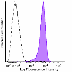 GMP APC anti-human CD13 Antibody (260190)