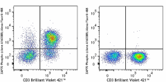 Alexa Fluor® 488 anti-ZAP70 Phospho (Tyr292) Antibody (693805)