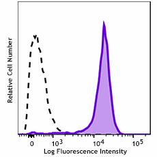 GMP PE/Cyanine7 anti-human CD33 Antibody (260512)