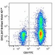 Brilliant Violet 421™ anti-human CD279 (PD-1) Antibody (329919)