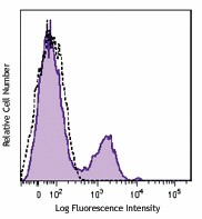 PerCP anti-human CD56 (NCAM) Antibody (318341)