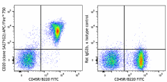 APC/Fire™ 750 anti-mouse CD20 Antibody (152117)