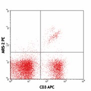 PE anti-mouse TCR Vβ8.1, 8.2 Antibody (140103)