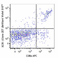 Brilliant Violet 510™ anti-mouse/rat XCR1 Antibody (148218)