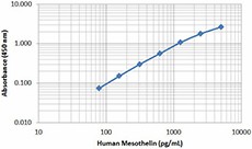Purified anti-human Mesothelin Antibody