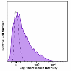 PE/Cyanine7 anti-human CD62E Antibody (336015)