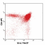 PerCP anti-mouse CD8a Antibody (100731)