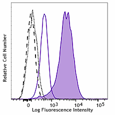 PE anti-IRF4 Antibody (646403)