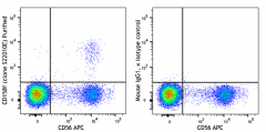 Purified anti-human CD158f (KIR2DL5) Antibody (317709)