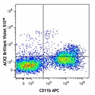Brilliant Violet 510™ anti-mouse CD117 (c-kit) Antibody (135119)