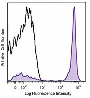 Brilliant Violet 421™ anti-mouse CD19 Antibody (115537)