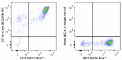 APC anti-human CD11b Recombinant Antibody (379905)