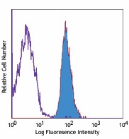 PE anti-human CD137L (4-1BB Ligand) Antibody (311503)