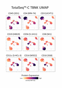 TotalSeq™-C Human TBNK Cocktail (399903)