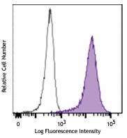 PE anti-human LGR5 (GPR49) Antibody (373803)