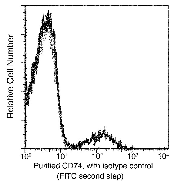 CD74 Monoclonal Antibody (AN200025P)