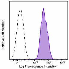 PE anti-rat CD98 Antibody (206408)
