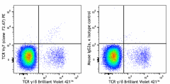 PE anti-mouse TCR Vγ7 Antibody (161705)
