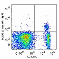 PE anti-mouse FOXP3 Antibody (126403)