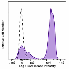 APC/Fire™ 750 anti-mouse IgG2a Antibody (407124)