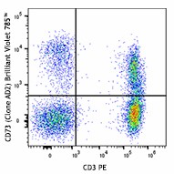 Brilliant Violet 785™ anti-human CD73 (Ecto-5'-nucleotidase) Antibody (344027)