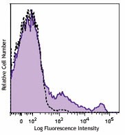 PE anti-rat CD161 Antibody (205604)
