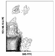 Biotin anti-mouse Ly-49A Antibody (116803)