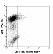 Pacific Blue™ anti-mouse IL-10 Antibody (505019)