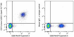 Spark YG™ 593 anti-human CD19 Antibody (363043)