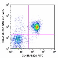 APC anti-mouse CD66a (CEACAM1a) Antibody (134509)