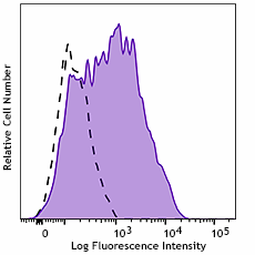 PE anti-human CD273 (B7-DC, PD-L2) Antibody (947807)