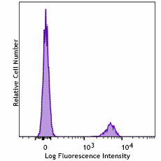KIRAVIA Blue 520™ anti-human CD19 Antibody (302283)
