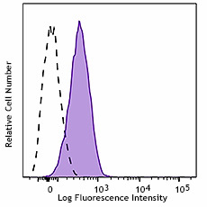 PerCP/Cyanine5.5 anti-mouse CD47 Antibody (127515)