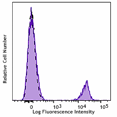 PE anti-human CD19 Antibody (392505)