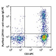 Purified anti-human CD194 (CCR4) Antibody (359402)