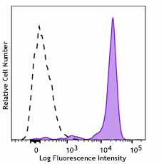 PE anti-human CD33 Antibody (381607)