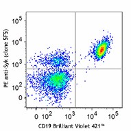 PE anti-Syk Antibody (646003)