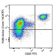 Purified anti-human Aiolos Antibody (371002)
