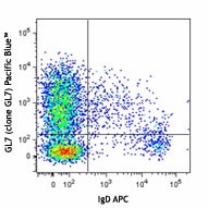 Pacific Blue™ anti-mouse/human GL7 Antigen (T and B cell Activation Marker) Antibody (144613)