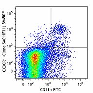 Brilliant Violet 650™ anti-mouse CX3CR1 Antibody (149033)
