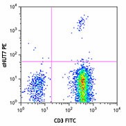 PE anti-human TCR Vβ23 Antibody (349406)