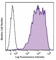 Alexa Fluor® 647 anti-mouse/human A2B5 Antibody (150703)